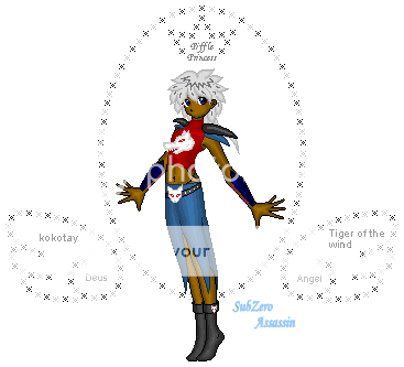 User Image