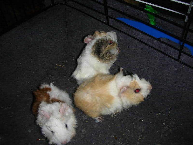 DSCN2381.jpg