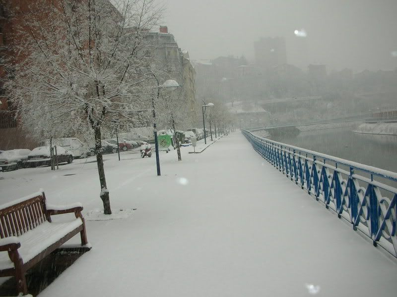 DSCN3167.jpg