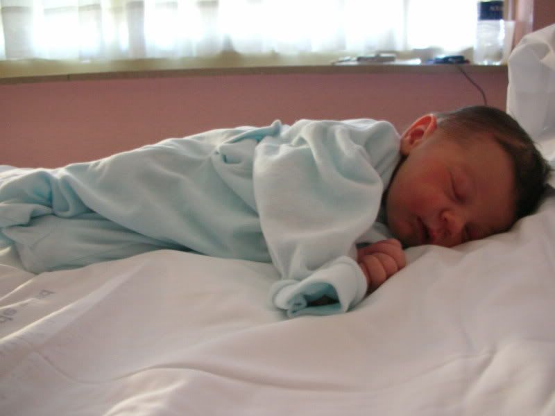 DSCN3216.jpg