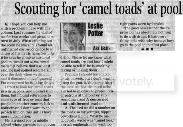 Camel_Toads.jpg Toads picture by TSquareMan