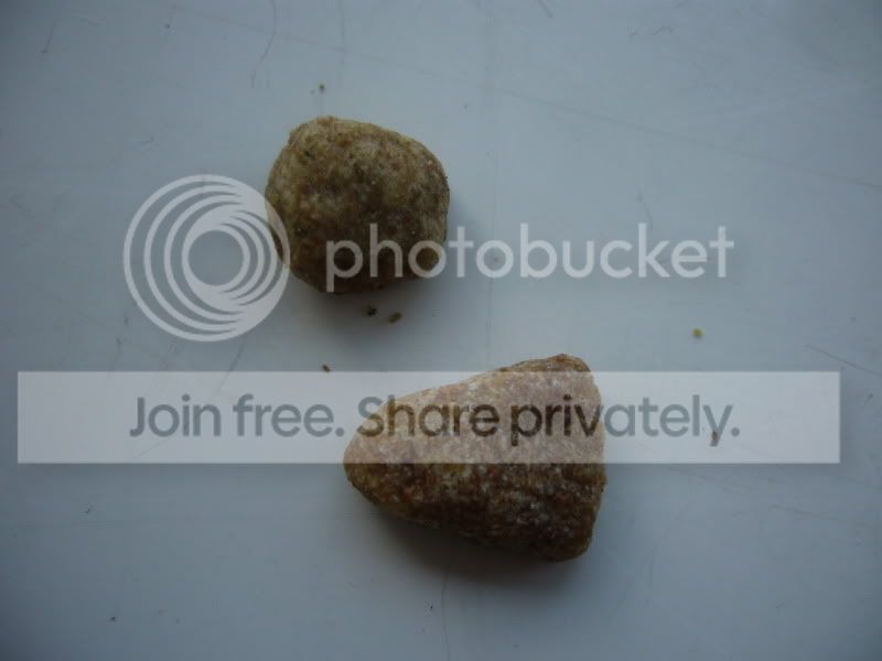 001-1.jpg