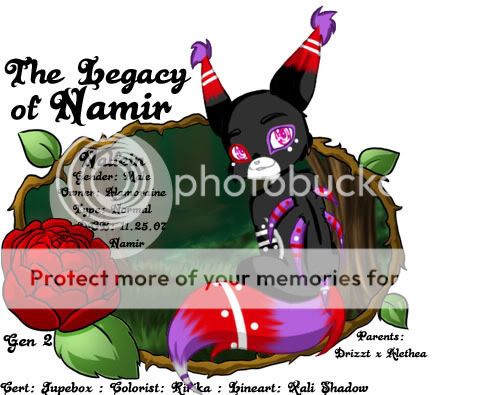 User Image