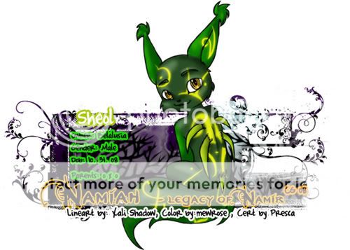 User Image