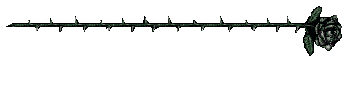 Insane Karmality banner