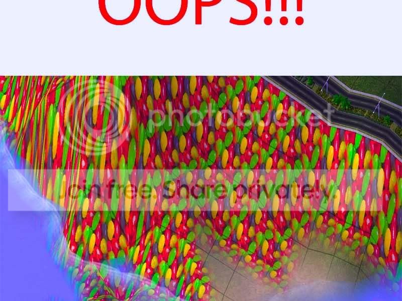 5-4.jpg