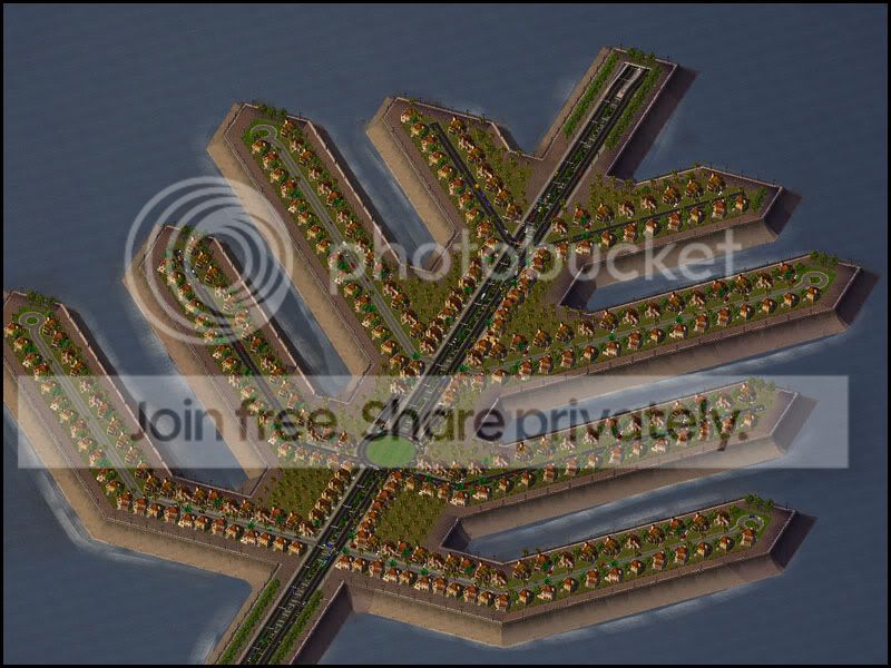 palm2-1.jpg