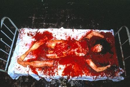 guinea-pigs-flowers-of-flesh-and-bl.jpg