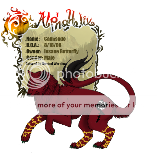 User Image