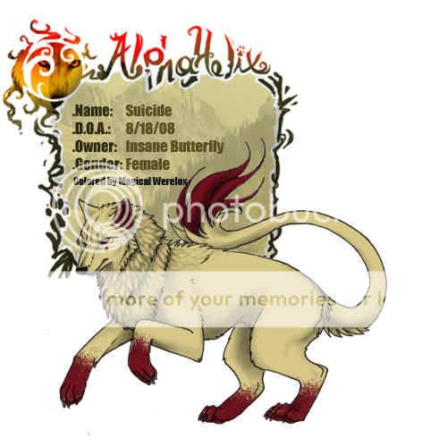 User Image