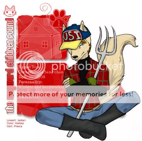 User Image