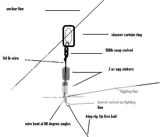 King rig advice