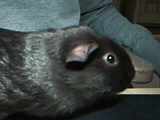 profilepic.jpg